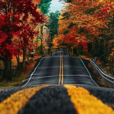 亚搏APP·官方网站