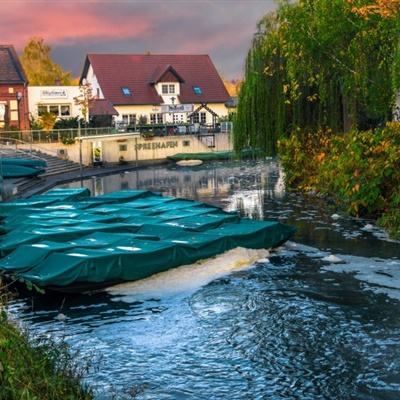 皇家88手机app下载